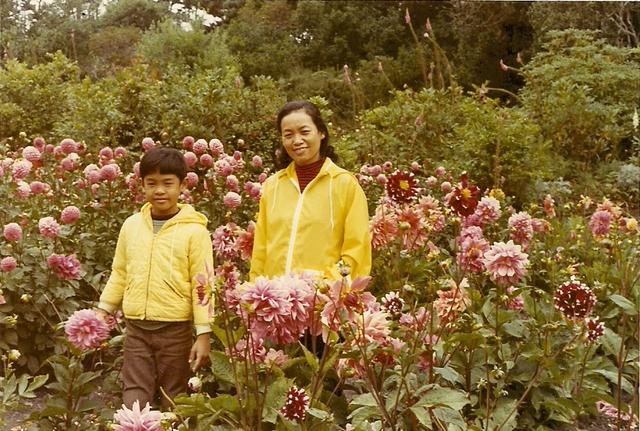 1971 - garden.jpg