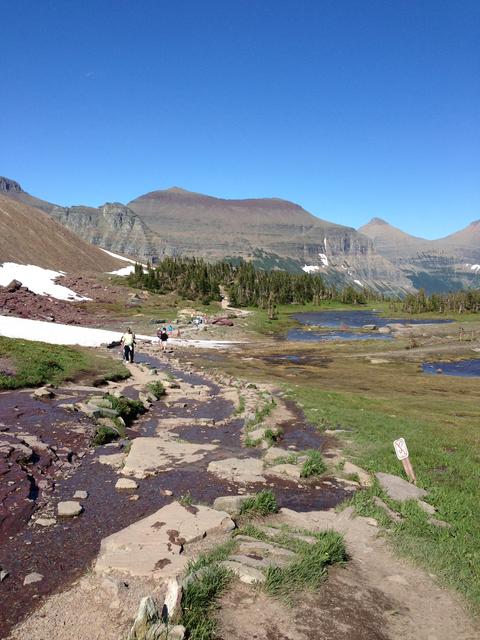 Still a bit of snow in July along the trail to Hidden Lake.